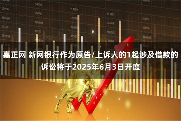 嘉正网 新网银行作为原告/上诉人的1起涉及借款的诉讼将于2025年6月3日开庭